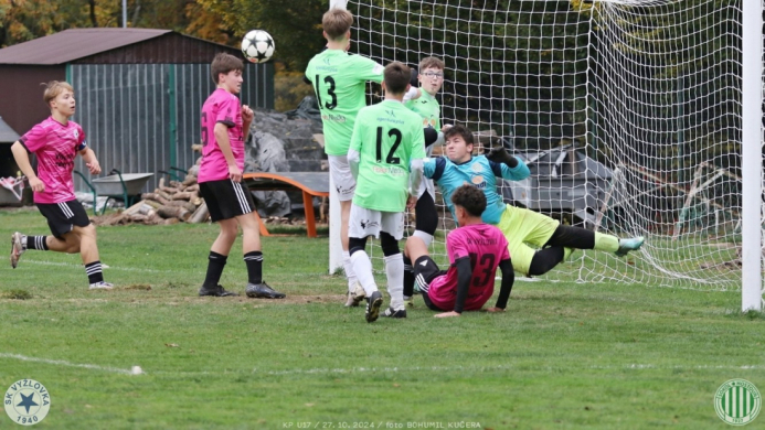 vyzlovka-sh_bk (7).jpg vyzlovka-sh_bk (7).jpg