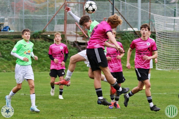 vyzlovka-sh_bk (8).jpg vyzlovka-sh_bk (8).jpg
