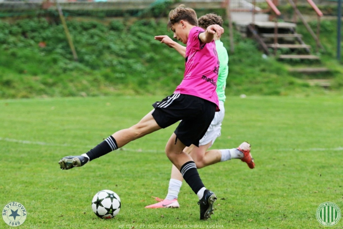 vyzlovka-sh_bk (13).jpg vyzlovka-sh_bk (13).jpg