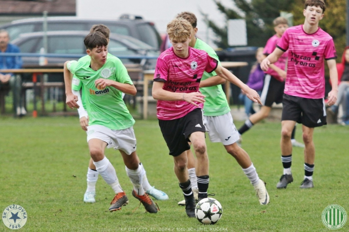 vyzlovka-sh_bk (55).jpg