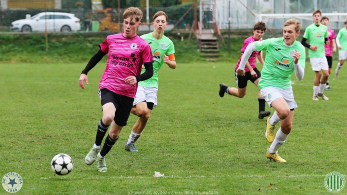 vyzlovka-sh_bk (75).jpg vyzlovka-sh_bk (75).jpg