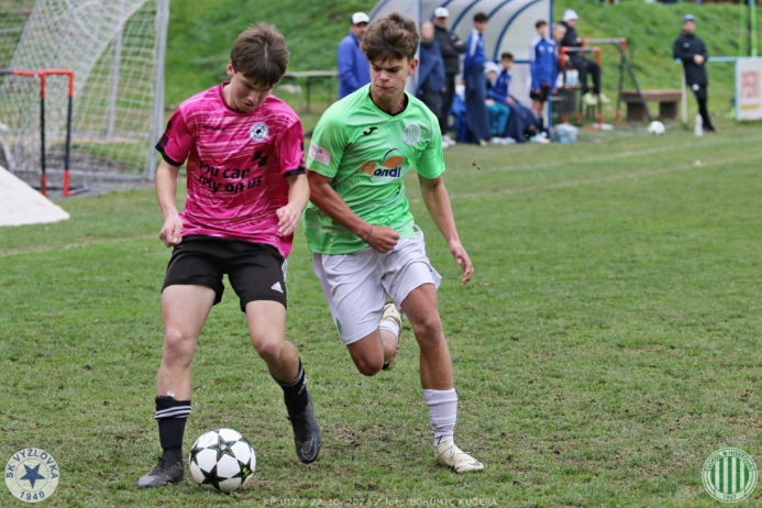 vyzlovka-sh_bk (84).jpg vyzlovka-sh_bk (84).jpg