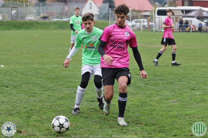 vyzlovka-sh_bk (102).jpg vyzlovka-sh_bk (102).jpg
