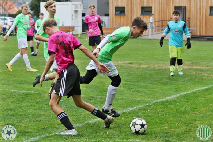 vyzlovka-sh_bk (111).jpg vyzlovka-sh_bk (111).jpg