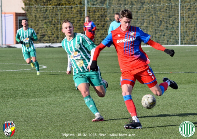 fcvp19-sh (1).jpg fcvp19-sh (1).jpg