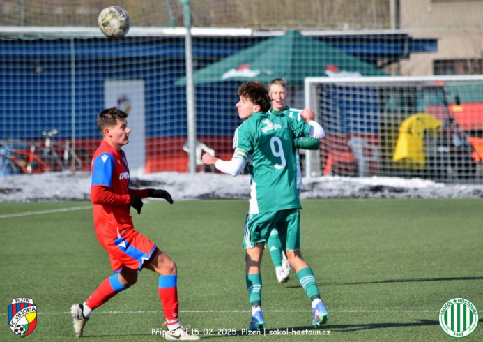 fcvp19-sh.jpg fcvp19-sh.jpg