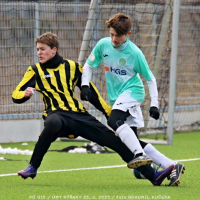 nyrany-sh19 (110).jpg