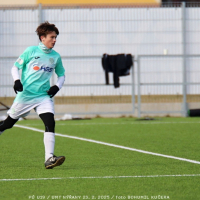 nyrany-sh19 (128).jpg