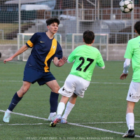 cafc-sh17 (2).jpg