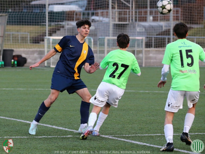 cafc-sh17 (2).jpg cafc-sh17 (2).jpg