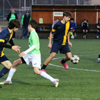 cafc-sh17 (11).jpg
