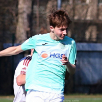 podebrady-sh (7).jpg