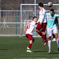 podebrady-sh (22).jpg