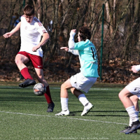 podebrady-sh.jpg