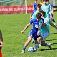 psary-sh19_bk (19).jpg