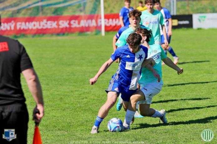 psary-sh19_bk (19).jpg psary-sh19_bk (19).jpg