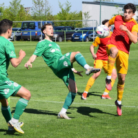 dukla-sh (3).jpg