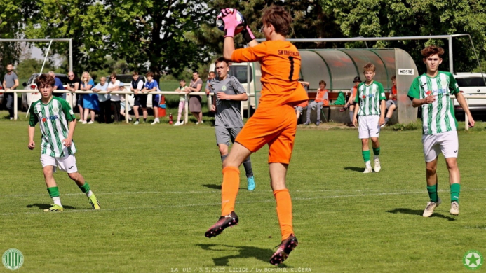 sh-krocehlavy (10).jpg sh-krocehlavy (10).jpg