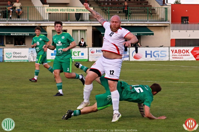 sh-olovnice (17).jpg
