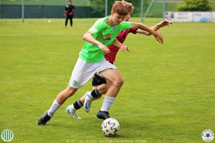 sh17-vyzlovka (19).jpg sh17-vyzlovka (19).jpg