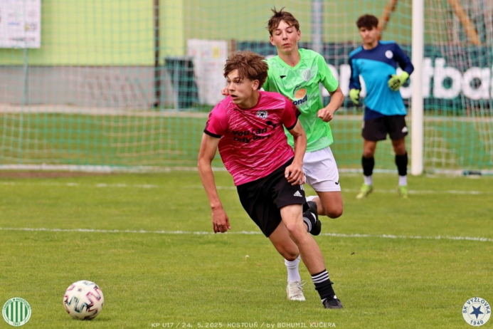 sh17-vyzlovka (22).jpg sh17-vyzlovka (22).jpg
