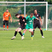 sh-svermov (33).jpg