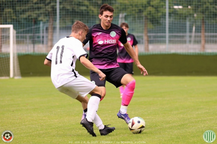 sp.pribram-sh19 (13).jpg sp.pribram-sh19 (13).jpg
