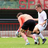 sp.pribram-sh19 (15).jpg