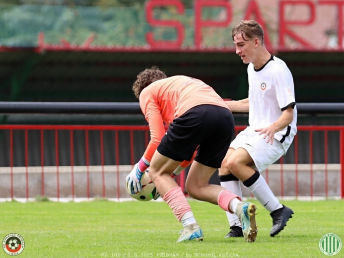 sp.pribram-sh19 (15).jpg sp.pribram-sh19 (15).jpg