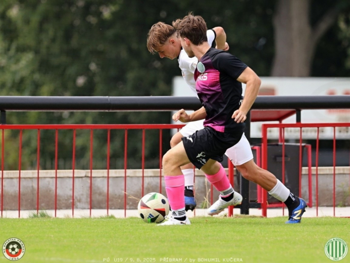 sp.pribram-sh19 (16).jpg sp.pribram-sh19 (16).jpg