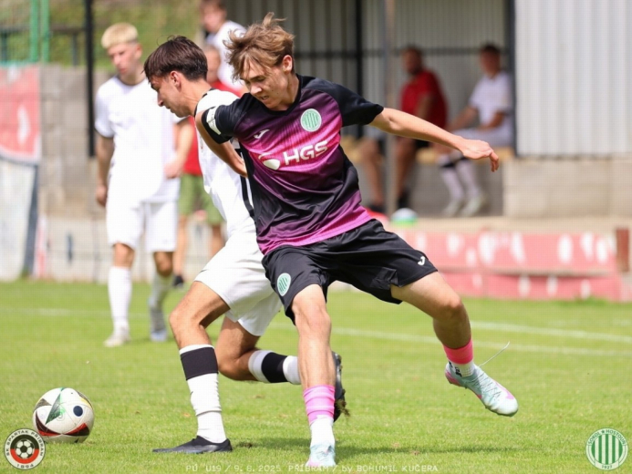 sp.pribram-sh19 (37).jpg sp.pribram-sh19 (37).jpg