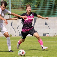 sp.pribram-sh19 (54).jpg