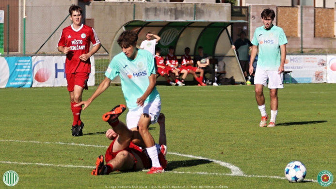 sh-sedlčany (7).jpg