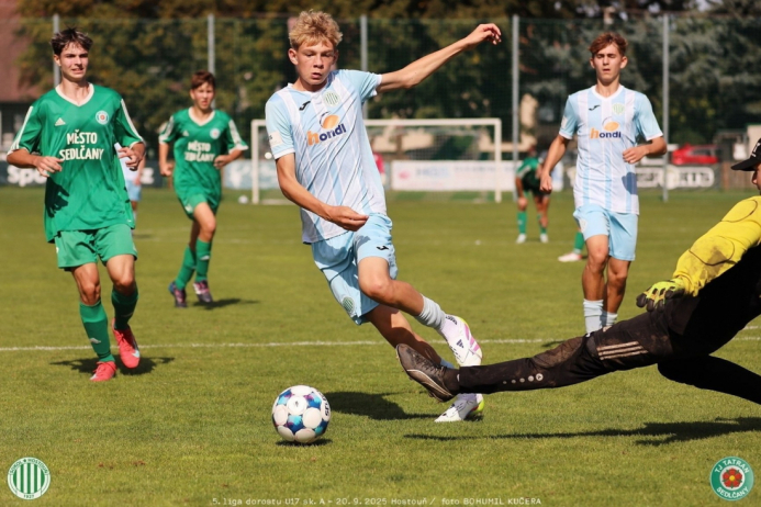 sh-sedlcany (12).jpg