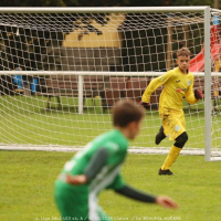 sh-veltrusy (9).jpg sh-veltrusy (9).jpg