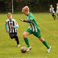 sh-veltrusy (8).jpg sh-veltrusy (8).jpg