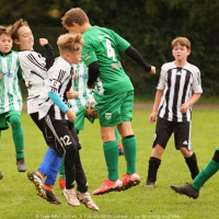 sh-veltrusy (12).jpg