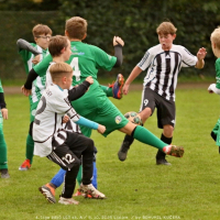 sh-veltrusy (13).jpg