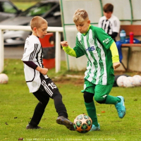 sh-veltrusy (14).jpg