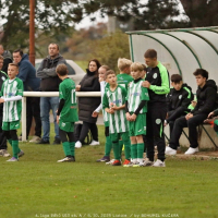 sh-veltrusy (16).jpg