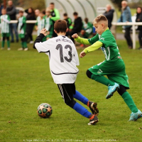 sh-veltrusy (15).jpg sh-veltrusy (15).jpg