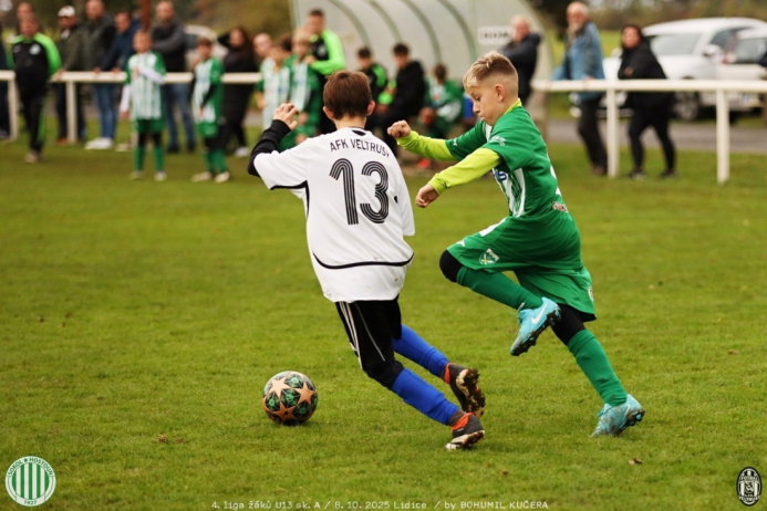 sh-veltrusy (15).jpg