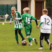 sh-veltrusy (21).jpg sh-veltrusy (21).jpg