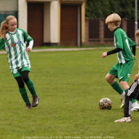 sh-veltrusy (20).jpg sh-veltrusy (20).jpg