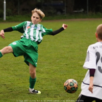 sh-veltrusy (22).jpg sh-veltrusy (22).jpg