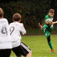 sh-veltrusy (23).jpg sh-veltrusy (23).jpg