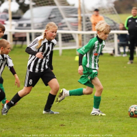 sh-veltrusy (26).jpg sh-veltrusy (26).jpg