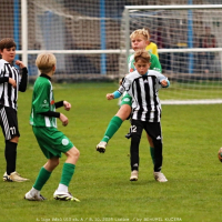 sh-veltrusy (29).jpg sh-veltrusy (29).jpg