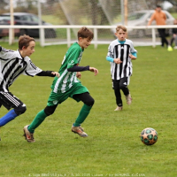 sh-veltrusy (30).jpg sh-veltrusy (30).jpg