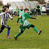 sh-veltrusy (31).jpg sh-veltrusy (31).jpg